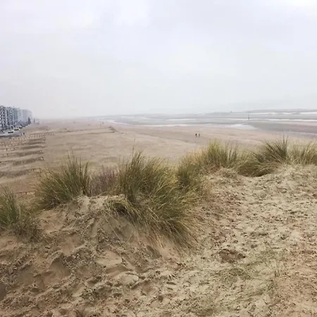 Cozy In Belgium With Parking Koksijde
